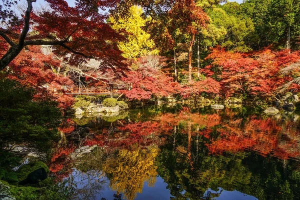 京都の秋の風景 — ストック写真