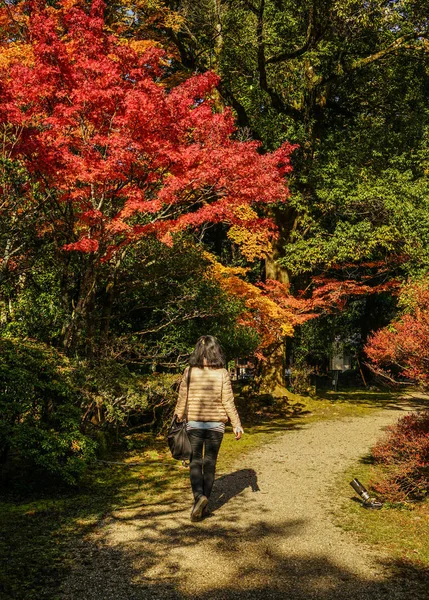 Paisajes otoñales de Kyoto, Japón — Foto de Stock