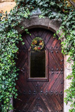 Eski bina tuğla duvarlar ve bitkiler ile