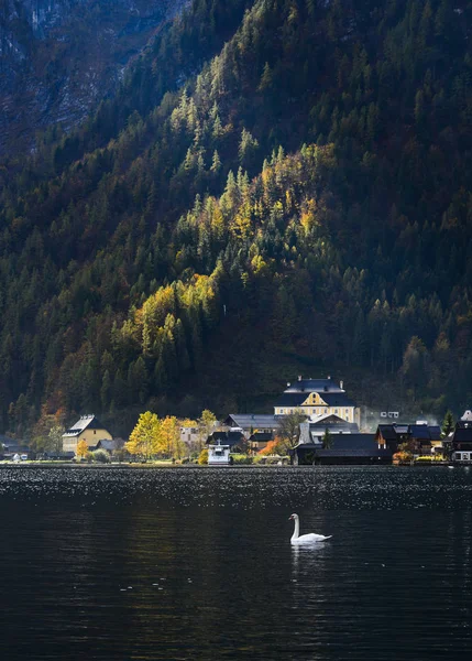 Hermosa Aldea Hallstatt de Austria —  Fotos de Stock