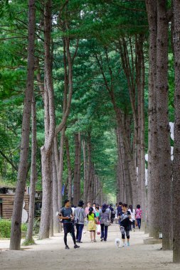 Ağaç parkta yürüyüş insanlar 