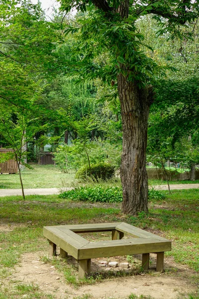 Zöld fák, a park, a Namiseom — Stock Fotó