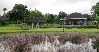 Bali, Endonezya bahçeli antik tapınak