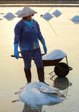 Yaz tuz sahada çalışan insanlar
