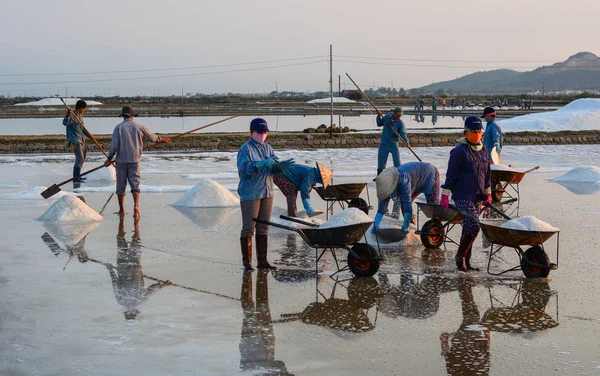 Personas que trabajan en el campo de sal en verano —  Fotos de Stock