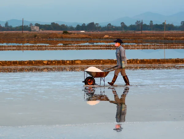 People working on salt field at summer — Stock Photo, Image