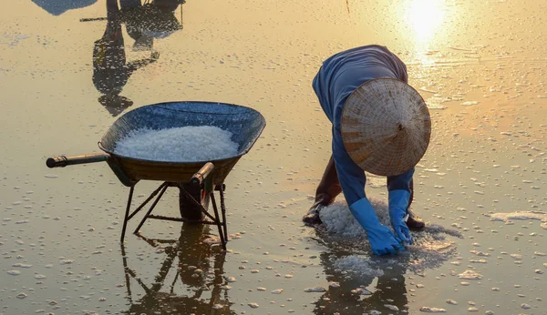 Personas que trabajan en el campo de sal en verano — Foto de Stock