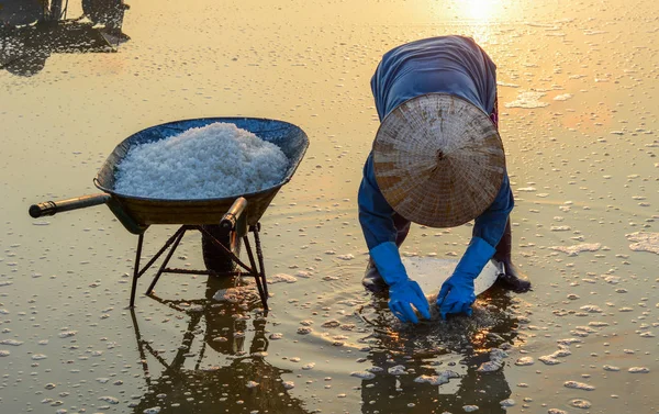 Personas que trabajan en el campo de sal en verano — Foto de Stock
