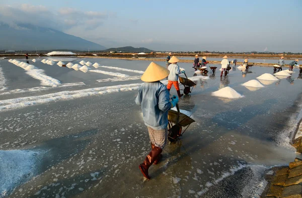 Personas que trabajan en el campo de sal en verano — Foto de Stock