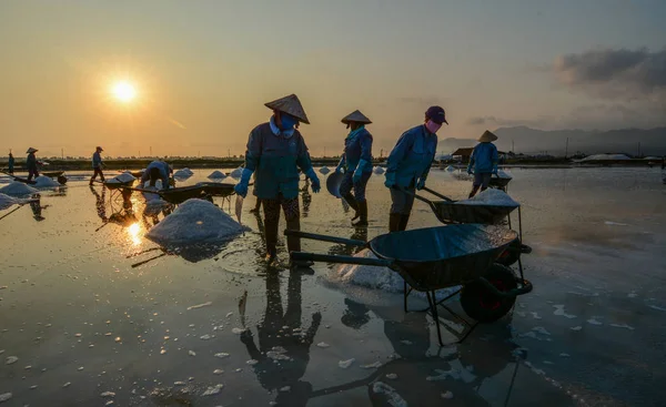 Yaz tuz sahada çalışan insanlar