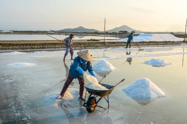 Personas que trabajan en el campo de sal en verano —  Fotos de Stock