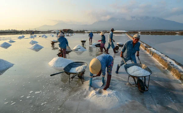 Personas que trabajan en el campo de sal en verano —  Fotos de Stock