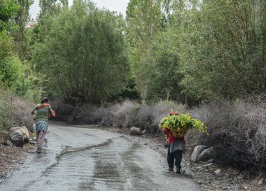 Tibet halkının kırsal yolda yürürken