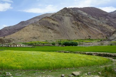 Mountainscape Vadisi üzerinde alan 