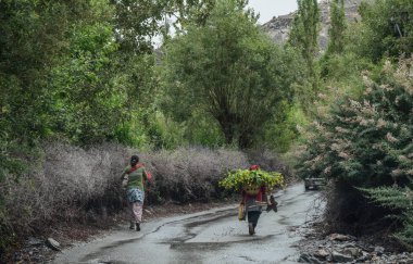 Tibet halkının kırsal yolda yürürken