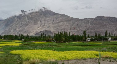 Mountainscape Vadisi üzerinde alan 