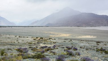 Ladakh, Hindistan kuzeyinde Mountainscape 
