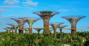 Supertree Grove Gardens Bay tarafından