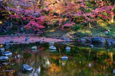 Sonbahar Bahçe: Tokyo, Japan 