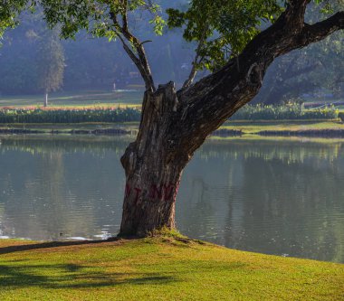 Botanik Bahçesi Pyin Oo Okan, Myanmar 