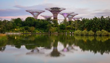 Supertree Grove Gardens Bay tarafından