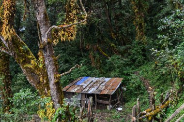 Orman Annapurna Massif dağ üzerinde