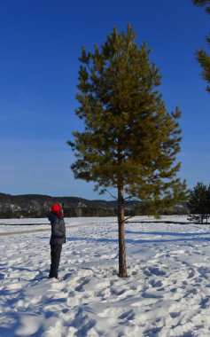 Kışın yalnız ağaç 