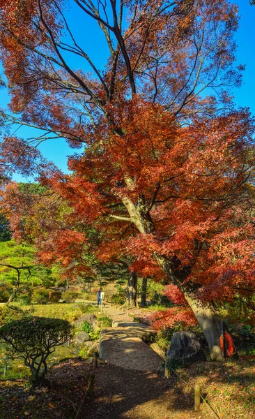 Autumn garden in Tokyo, Japan — Stock Photo, Image