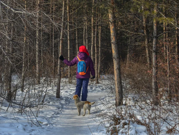 Gente caminando en el bosque profundo en invierno — Foto de Stock