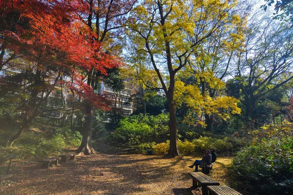Осінній саду в Токіо, Японія — стокове фото
