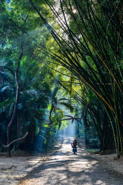 Botanische tuin in Pyin Oo Lwin, Myanmar — Stockfoto