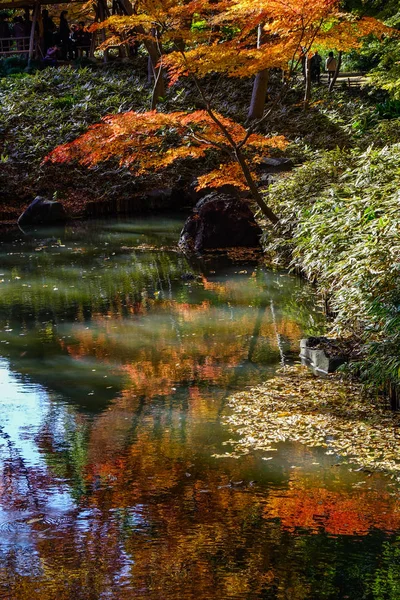 Sonbahar Bahçe: Tokyo, Japan — Stok fotoğraf