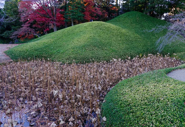 Grass hill at autumn park