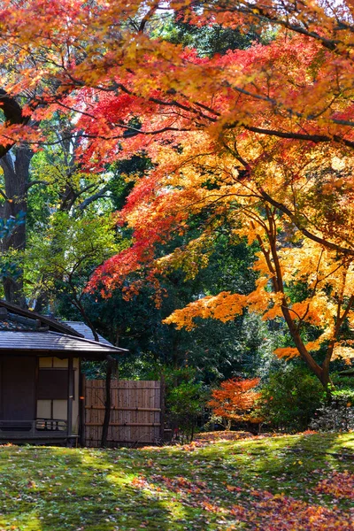 Jardim de outono em Tóquio, Japão — Fotografia de Stock