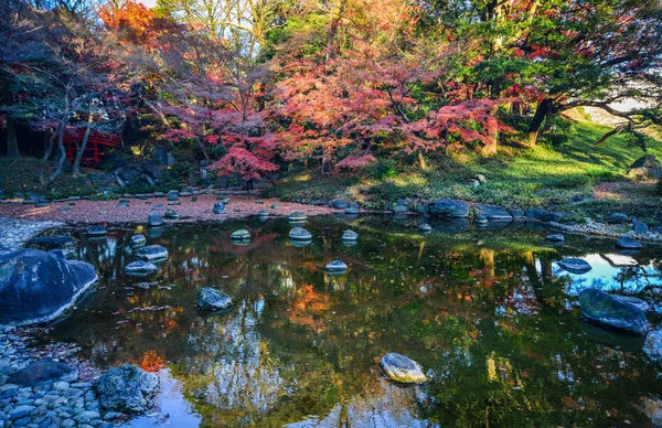 Autumn garden in Tokyo, Japan — Stock Photo, Image