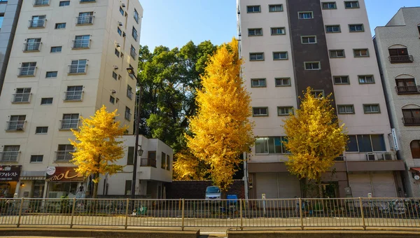 Paisaje urbano de tokyo, Japón —  Fotos de Stock