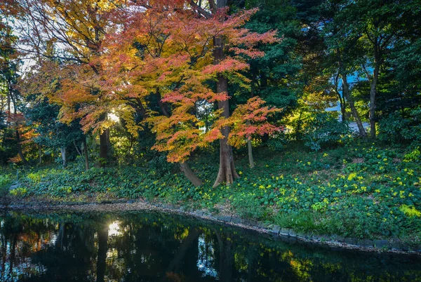도쿄, 일본에서가 정원 — 스톡 사진