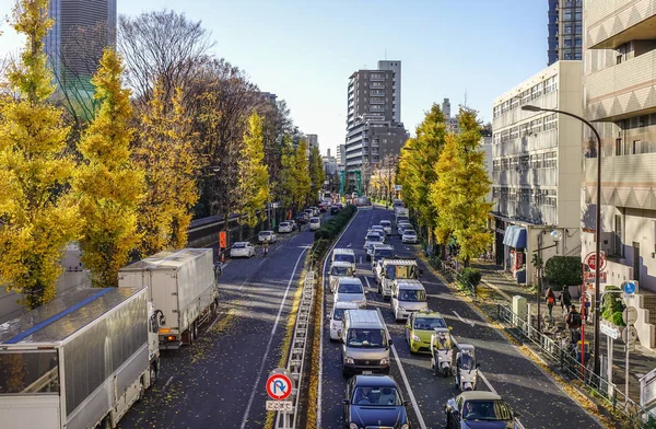 Stadsbild av tokyo, japan — Stockfoto
