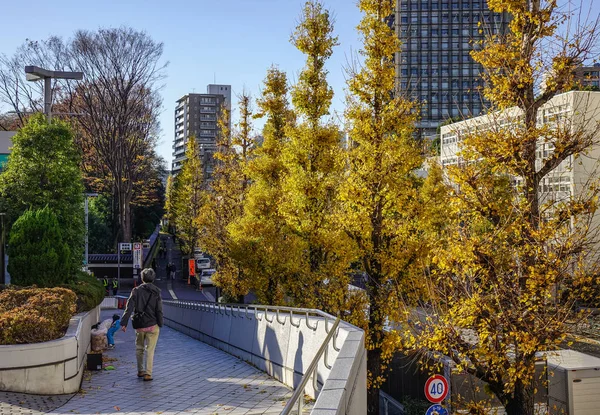 Paysage urbain de tokyo, Japon — Photo