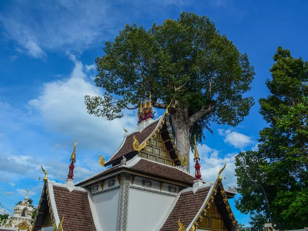 Buddyjska świątynia w Chiang Mai, Tajlandia — Zdjęcie stockowe