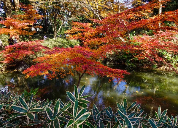 Podzimní zahrada v Tokiu, Japonsko — Stock fotografie