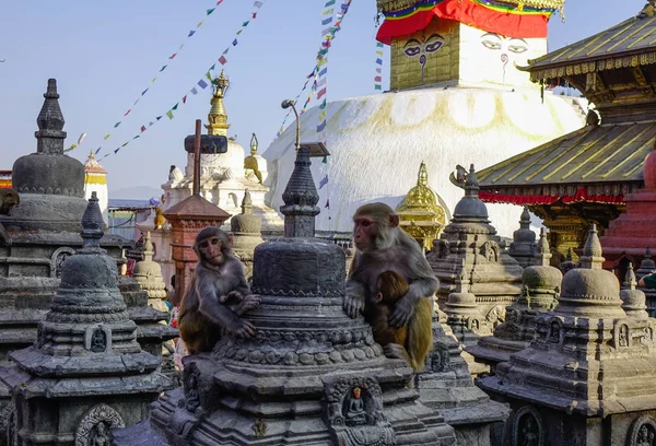 Duża Stupa w świątynię Swayambhunath — Zdjęcie stockowe