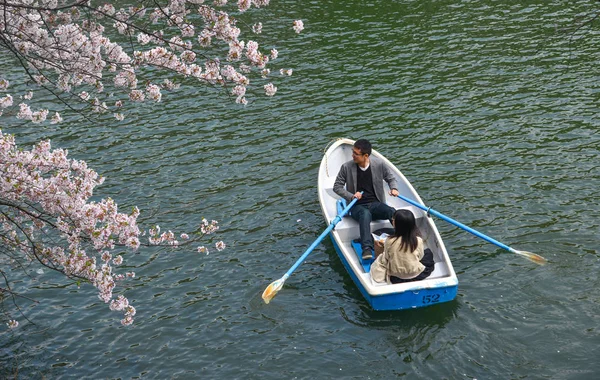 As pessoas gostam de flores de cerejeira no parque — Fotografia de Stock