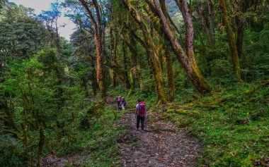 Nepal Annapurna trekking yolu 