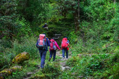 Nepal Annapurna trekking yolu 