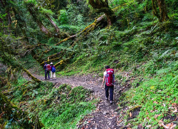 Trilha de trekking Annapurna no Nepal — Fotografia de Stock