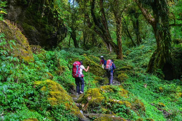 Nepal Annapurna trekking yolu 