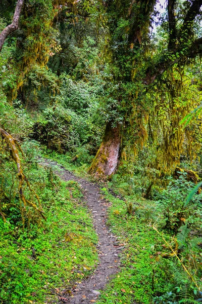 Annapurna trekking trail in Nepal