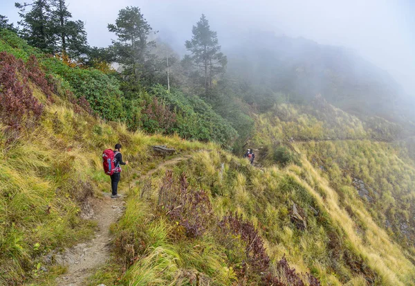 Annapurna trekking trail in Nepal — Stock Photo, Image