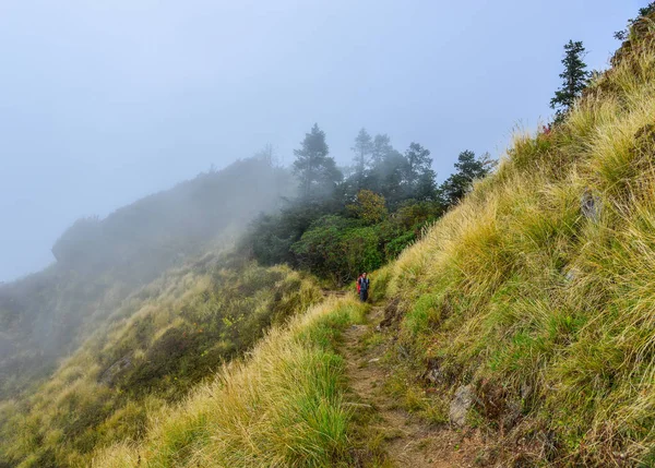 Sentier de trekking Annapurna au Népal — Photo